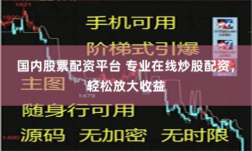 国内股票配资平台 专业在线炒股配资，轻松放大收益