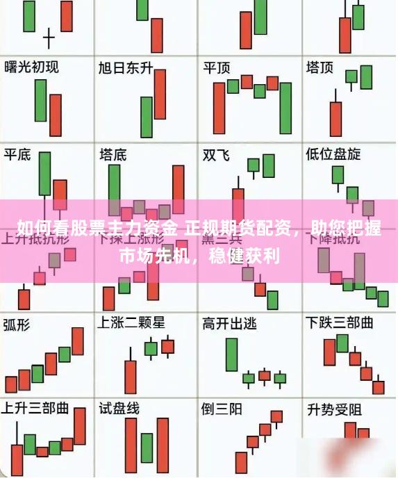 如何看股票主力资金 正规期货配资，助您把握市场先机，稳健获利