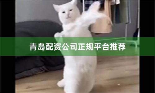 青岛配资公司正规平台推荐