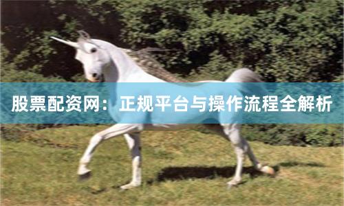 股票配资网：正规平台与操作流程全解析