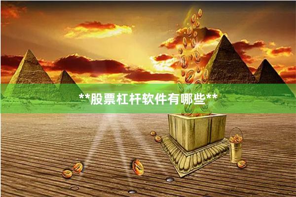 **股票杠杆软件有哪些**